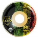 SATORI LION STRIPE - 52MM 101A