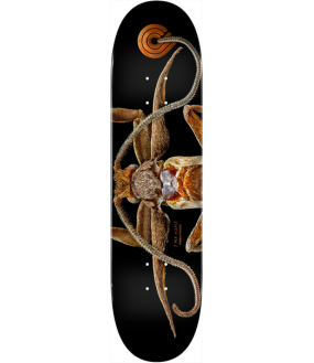 POWELL PERALTA DECK PS BISS MARION MOTH 8.25 X 31.95