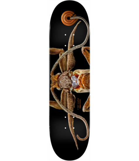 POWELL PERALTA DECK PS BISS MARION MOTH 8.25 X 31.95