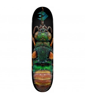 POWELL PERALTA DECK FLIGHT BISS RUBY TAILED WASP 8.5 X 32.08