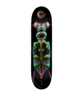 POWELL PERALTA DECK PS BISS TIGER BEETLE 8.25 X 31.95