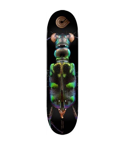 POWELL PERALTA DECK PS BISS TIGER BEETLE 8.25 X 31.95