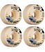 BONES WHEELS (JEU DE 4) STF 53MM V4 RYAN CRASH & BURN 99A